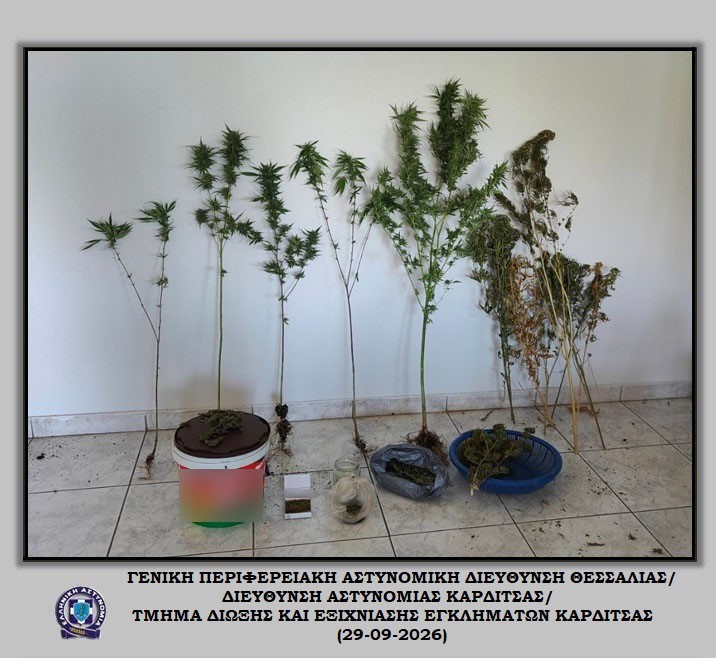 Xειροπέδες σε 51χρονο που καλλιεργούσε δενδρύλλια κάνναβης