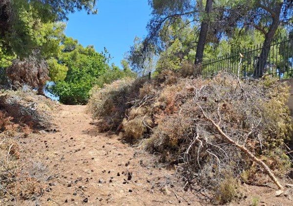 Πάνω από 1 εκατ. ευρώ για δράσεις πυροπροστασίας