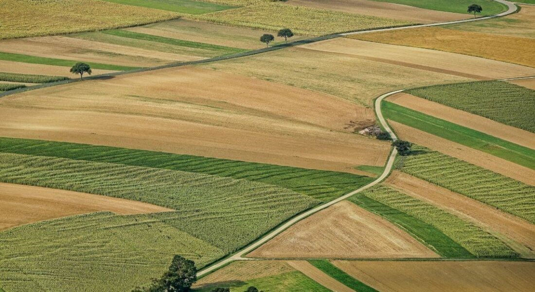 Ούτε ευρώ δεν επιστράφηκε από τις παράνομες επιδοτήσεις