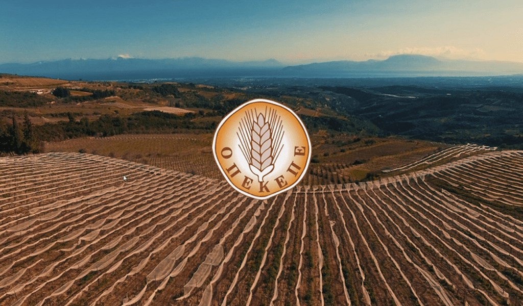 Εταιρείες από Λάρισα, Βόλο πήραν 3 εκ. με ψεύτικες δηλώσεις