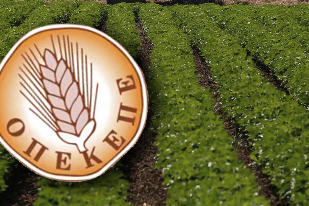 5.200 πρόσωπα υπό έλεγχο για παράνομες επιδοτήσεις