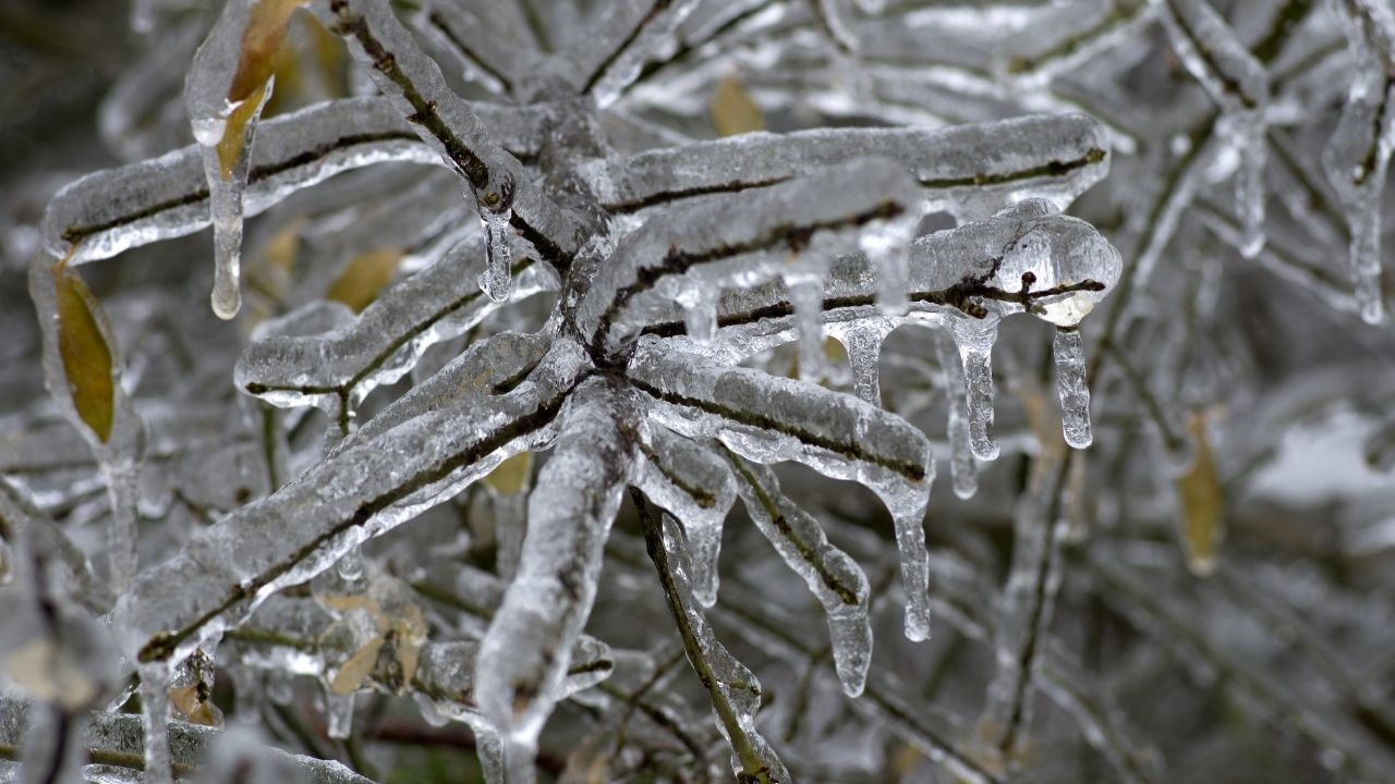 Παγωνιά και χιόνια σε περιοχές με χαμηλό υψόμετρο