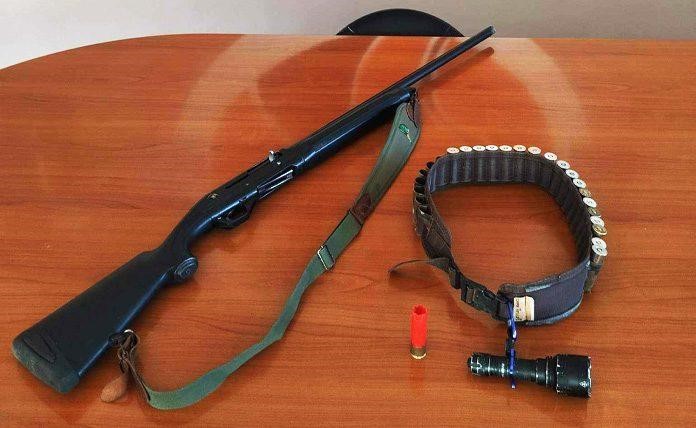 Mηνύσεις για παράνομο νυχτερινό κυνήγι αγριόχοιρου