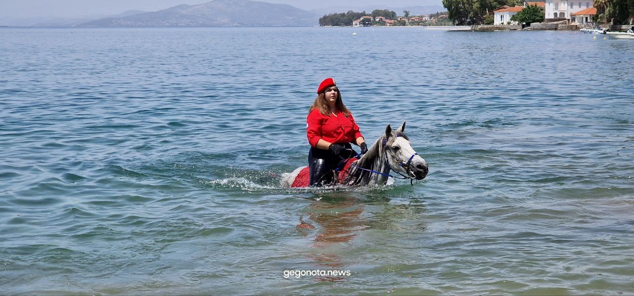 Αγιασμός των αλόγων στο Νότιο Πήλιο (φωτο)