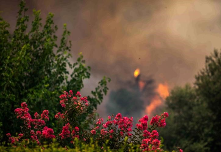 Ο απολογισμός στην Ελλάδα και τον κόσμο
