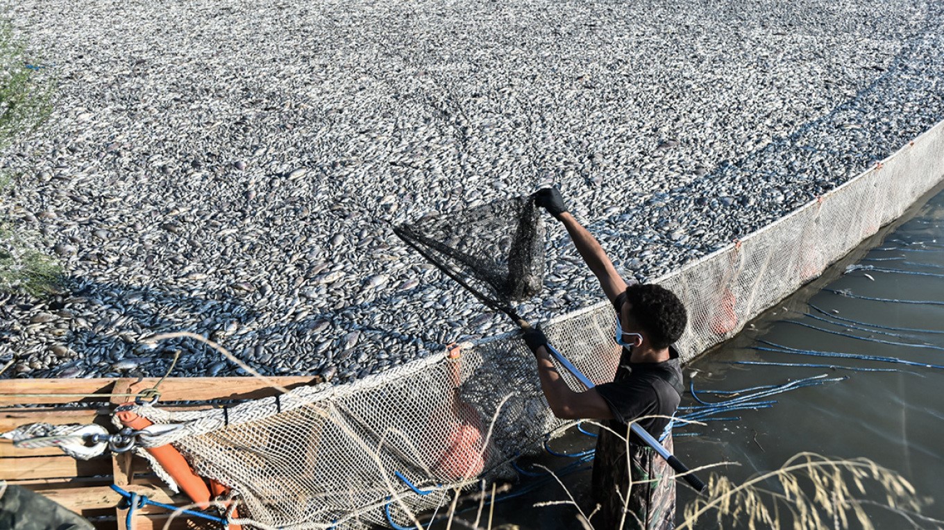 Επιφυλάξεις Λέκκα για την ταφή των ψαριών