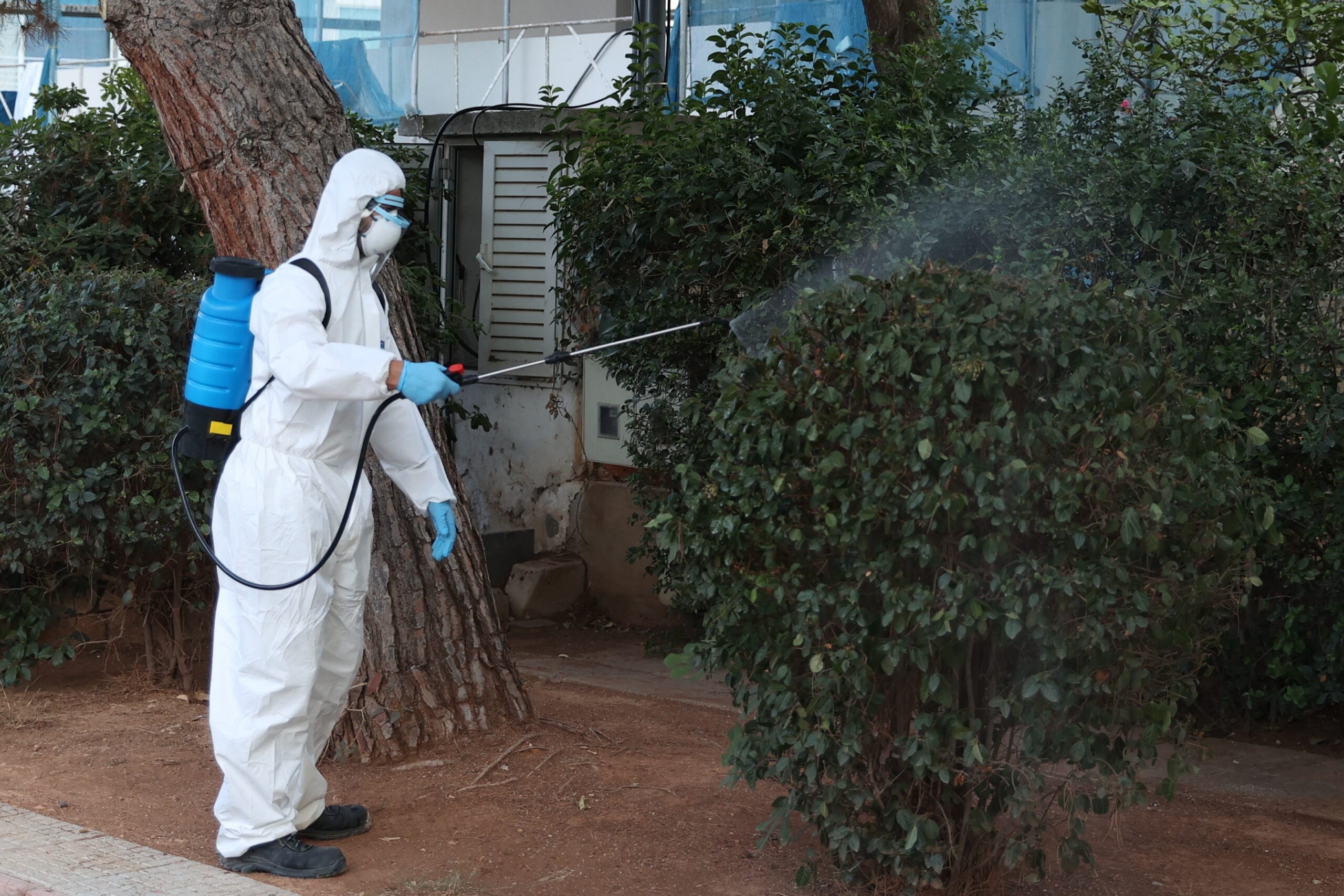 Ιός Δυτικού Νείλου: Στο επίκεντρο Θεσσαλία και Αττική