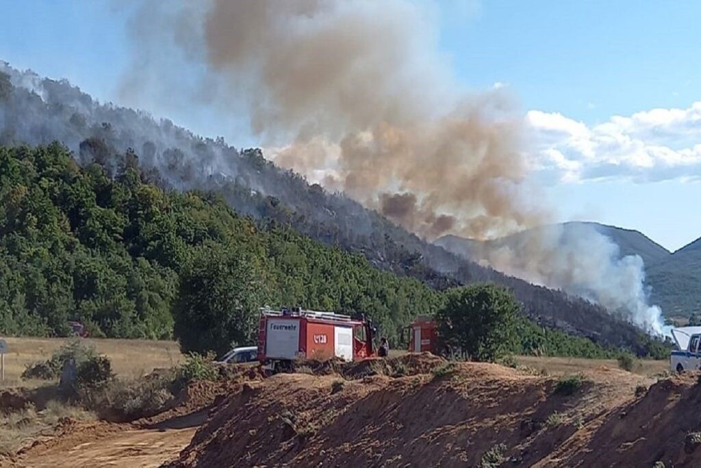 Πυρκαγιά στη Γαβριανή Μαγνησίας