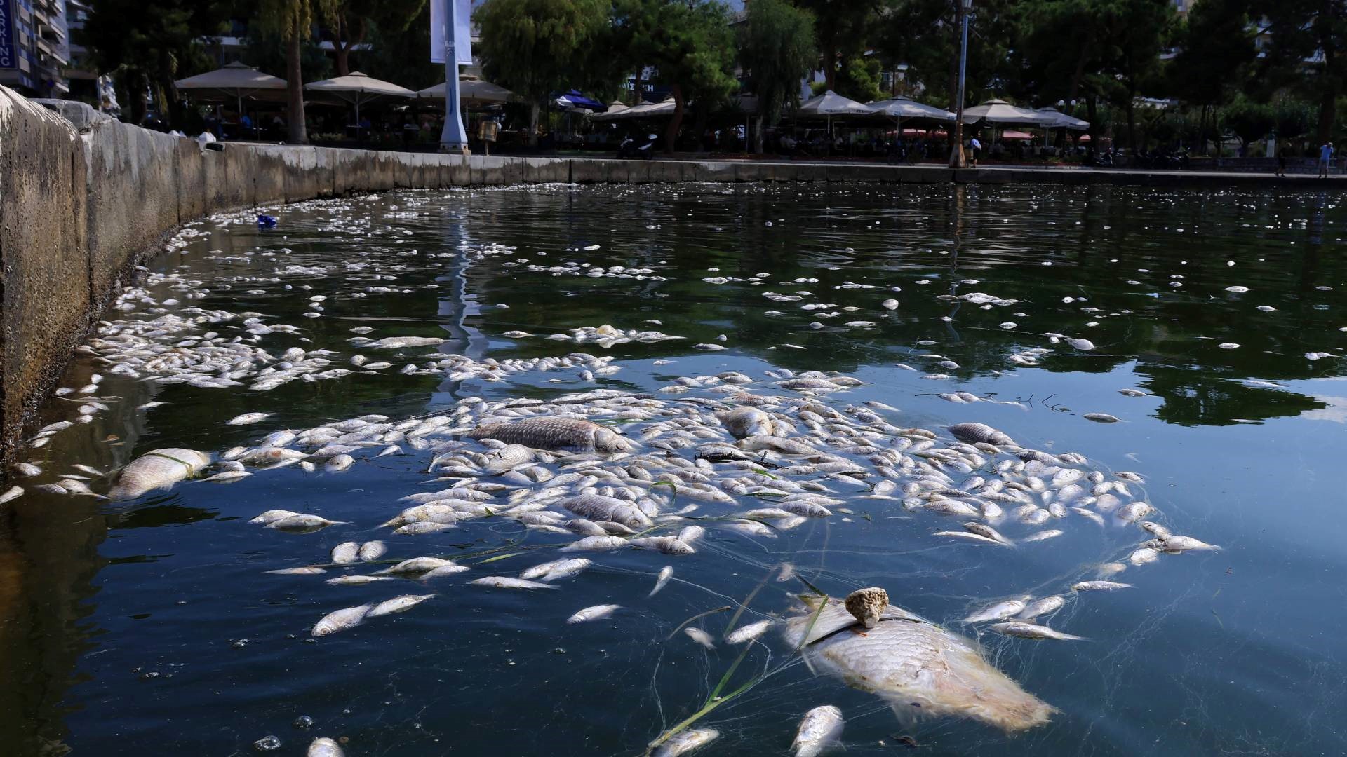 Τα μέτρα που πήραν ΟΛΒ και Περιφέρεια Θεσσαλίας