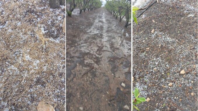 Xαλάζι χτύπησε καλλιέργειες