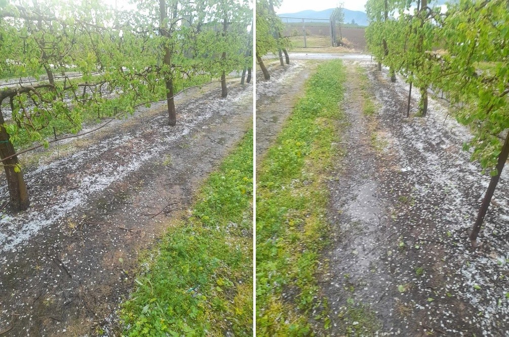 Zημιές από το χαλάζι σε Τύρναβο και Αμπελώνα