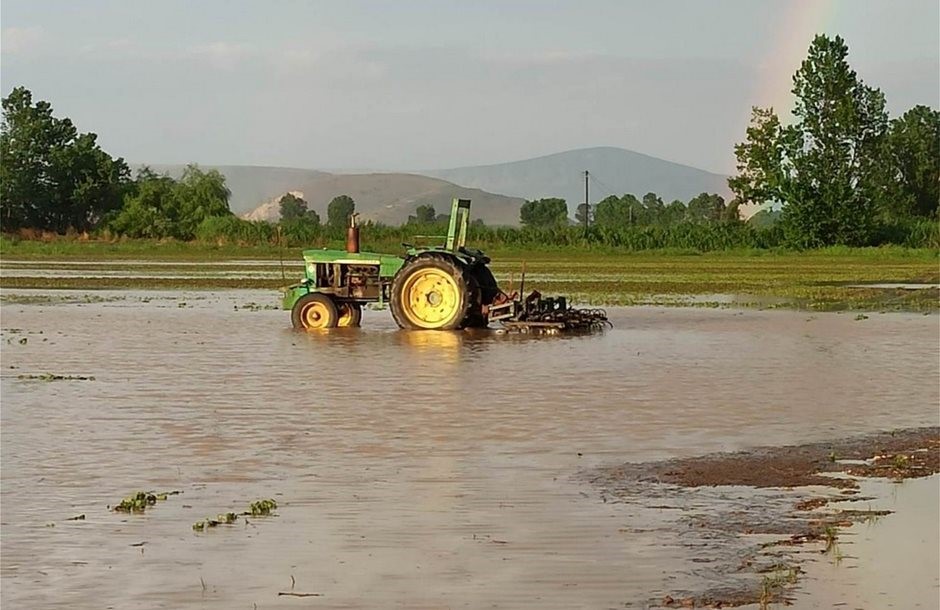 Πριν τα Χριστούγεννα επιπλέον 26 εκατ. ευρώ στους παραγωγούς