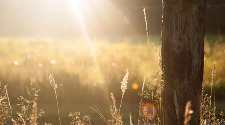 Ο δεύτερος πιο θερμός Ιανουάριος την τελευταία 15ετία