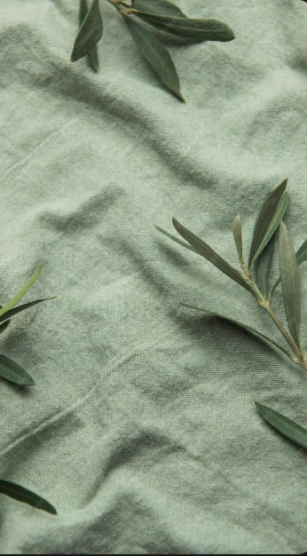 Πανιά ελαιοσυλλογής: Ο απόλυτος οδηγός για επιλογή, χρήση και συντήρηση