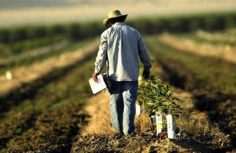 Αυγενάκης: Πρόσθετες- διορθωτικές προκαταβολές του ΕΛΓΑ
