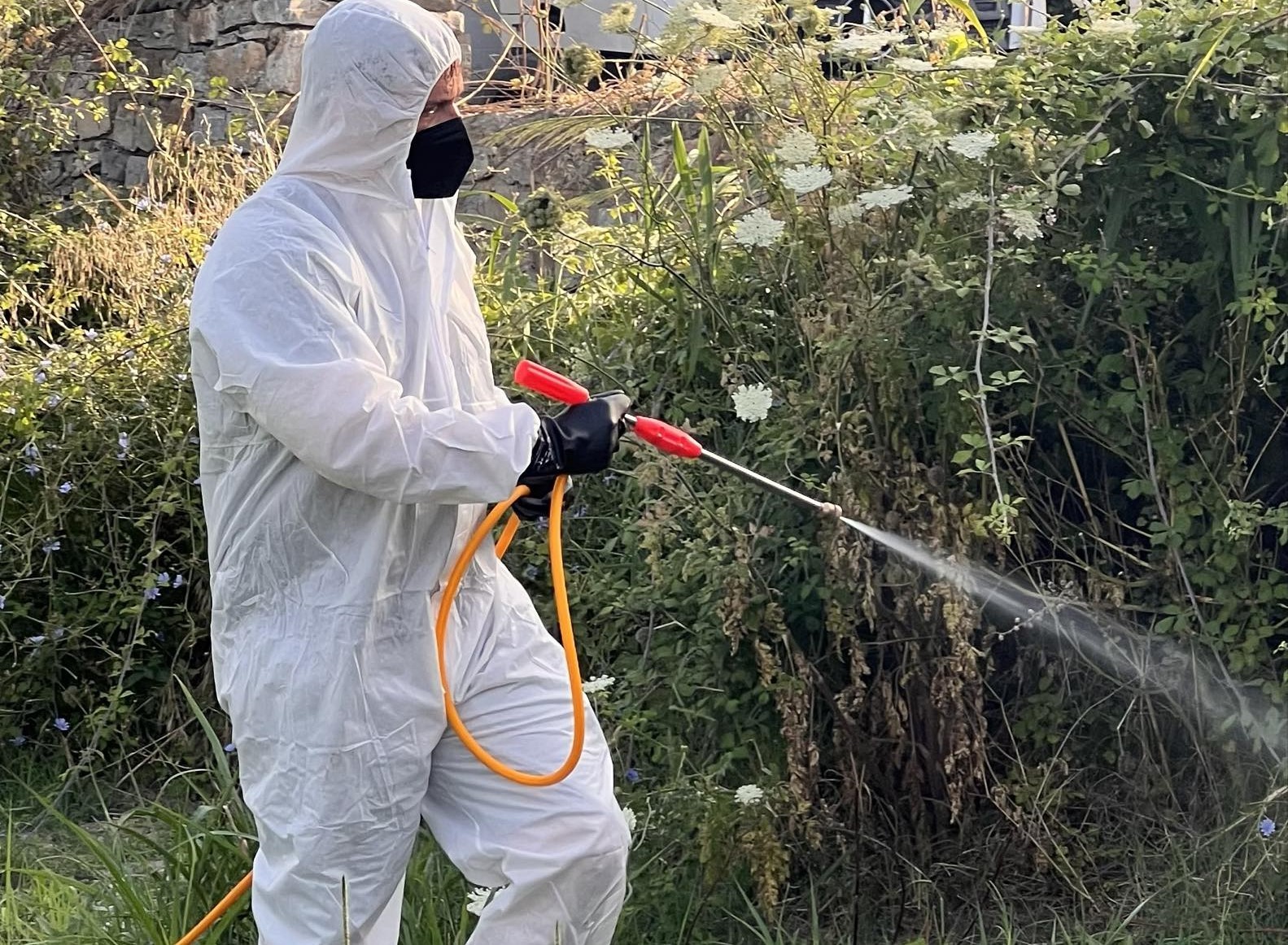 Σε πλήρη εξέλιξη το πρόγραμμα καταπολέμησης κουνουπιών 