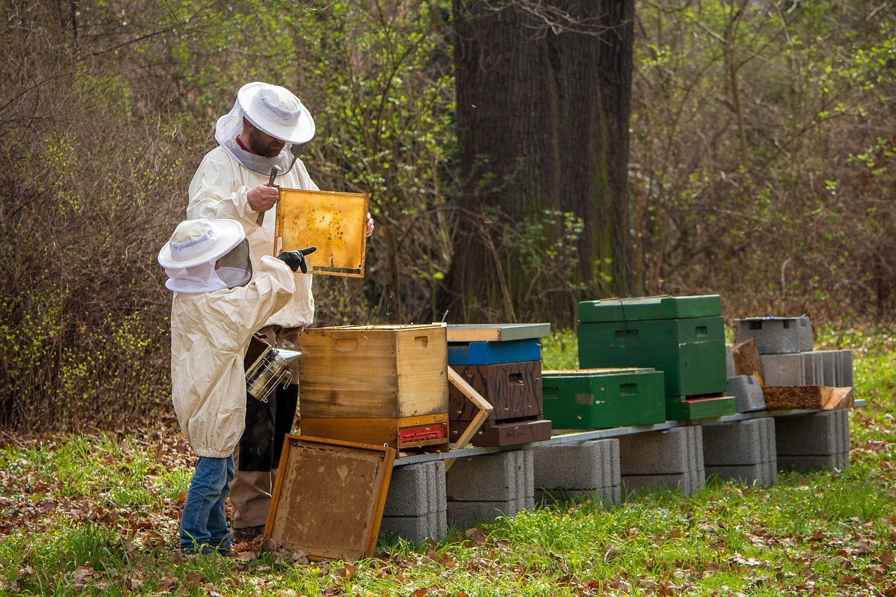 Δωρεά 1.200 κυψελών σε πληγέντες μελισσοκόμους 