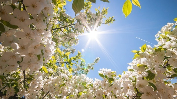 Τους 26°C πλησίασε η θερμοκρασία το μεσημέρι της 25ης Μαρτίου 