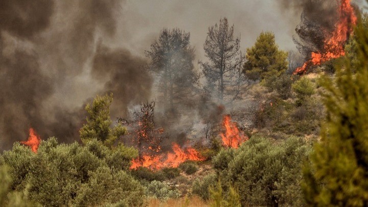 Πυρκαγιά σε δασική έκταση