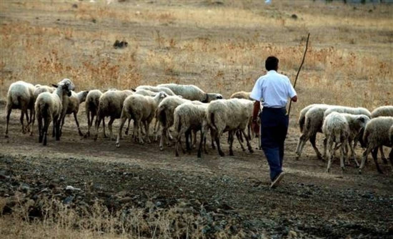 Θύμα ξυλοδαρμού 28χρονος βοσκός στα Κανάλια