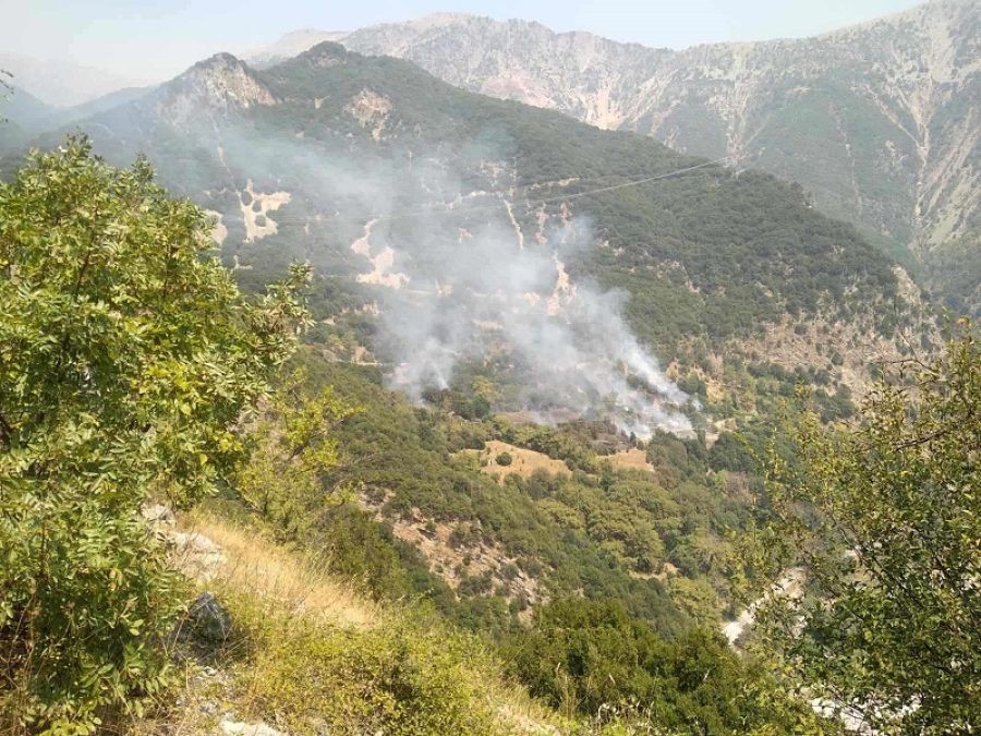 Φωτιά σε εξέλιξη κοντά στο Πετρωτό του Δήμου Αργιθέας