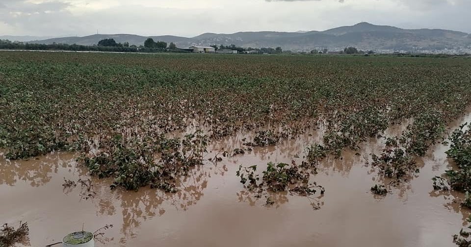 Ξεκίνησε η πληρωμή της προκαταβολής