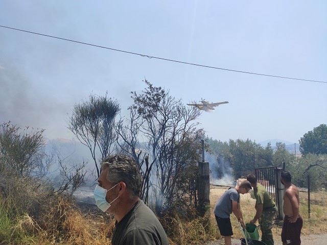 Μαγνησία: Σε εξέλιξη δύο φωτιές στο Φυτόκο και στο Παλιούρι