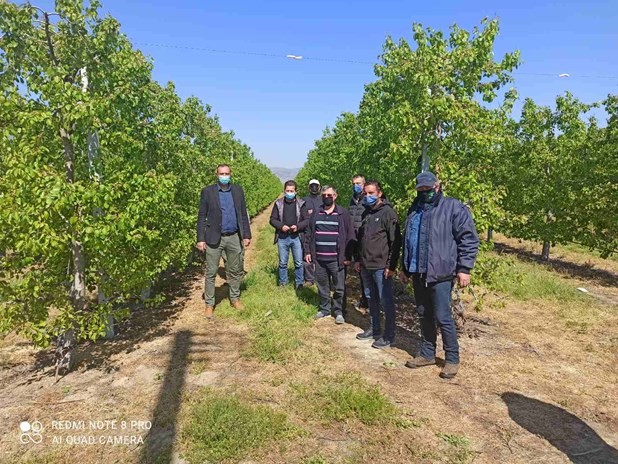 Τεράστιες ζημιές στις καλλιέργειες