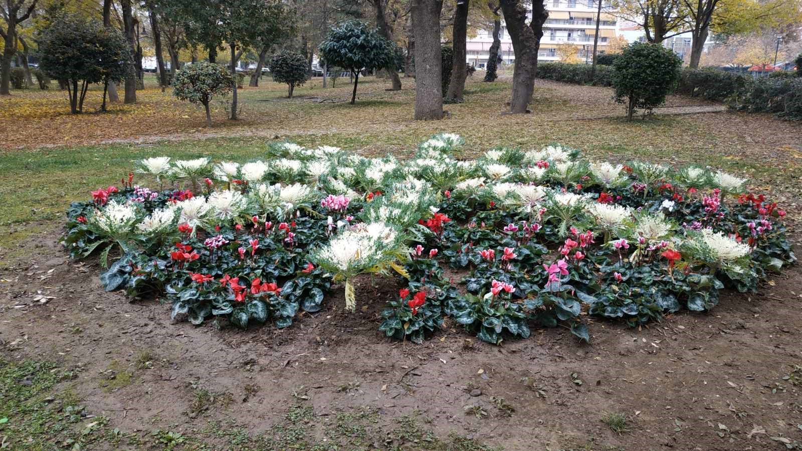 Φύτευση νέων λουλουδιών στο κέντρο της Καρδίτσας