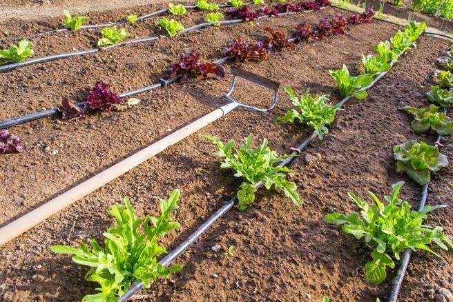 Λύθηκε το αρδευτικό πρόβλημα στο Αμούρι Ελασσόνας