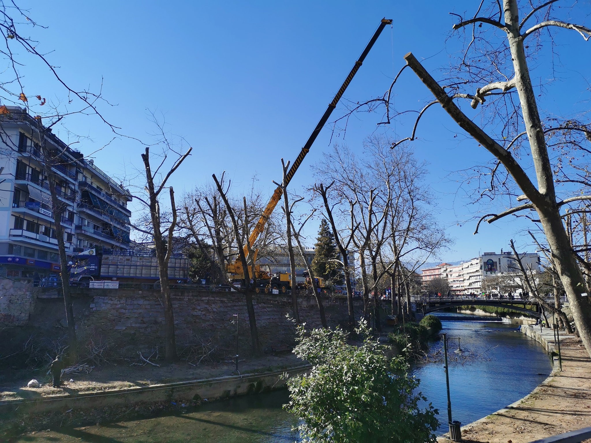 Πάνω από 300 δέντρα κλάδεψε η υπηρεσία πρασίνου 