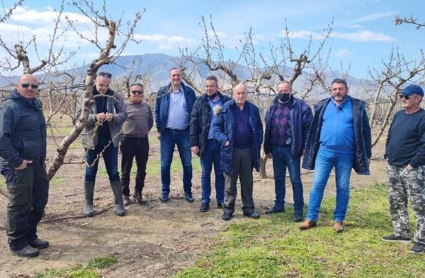 Νέος γύρος δηλώσεων ζημιών από τον παγετό