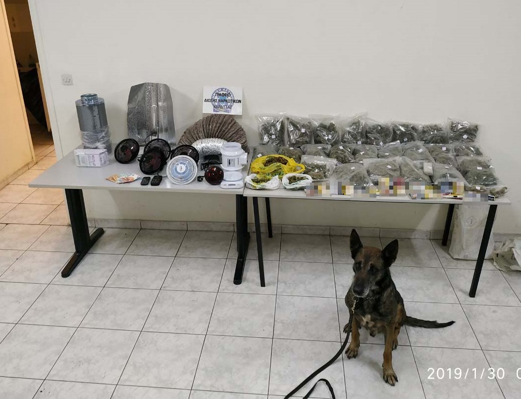 O αστυνομικός σκύλος ξετρύπωσε τα ναρκωτικά 