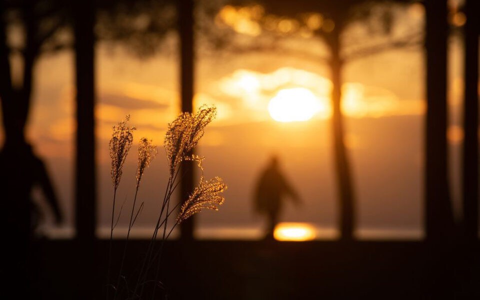 Ρεκόρ θερμοκρασίας τον Δεκέμβριο στην Ελλάδα