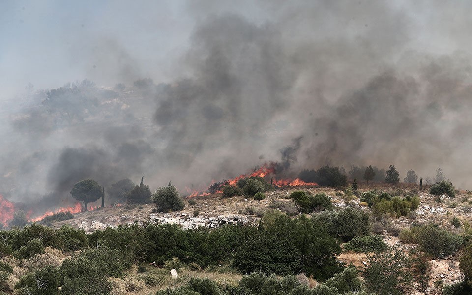 Νέες τεχνολογίες για τις καμένες εκτάσεις