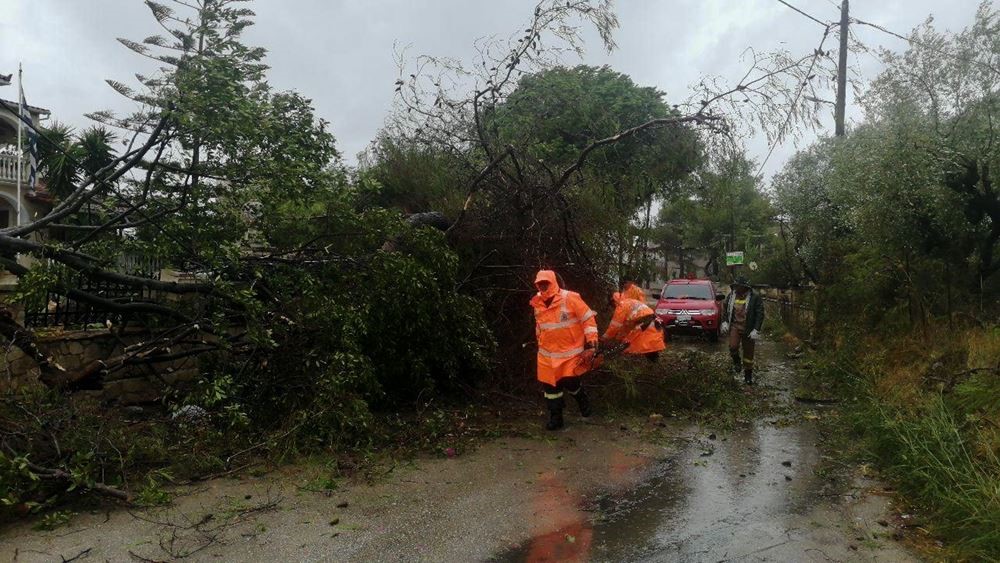 Σε 772 διασώσεις προχώρησε η Πυροσβεστική