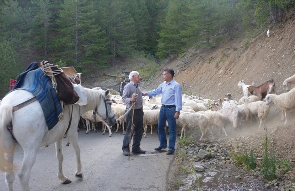 Ευρεία μάζωξη κτηνοτρόφων για ζωοτροφές και Απόθεμα