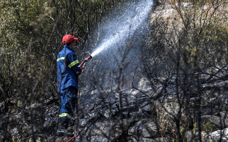 Τέθηκε υπό έλεγχο μεγάλη φωτιά