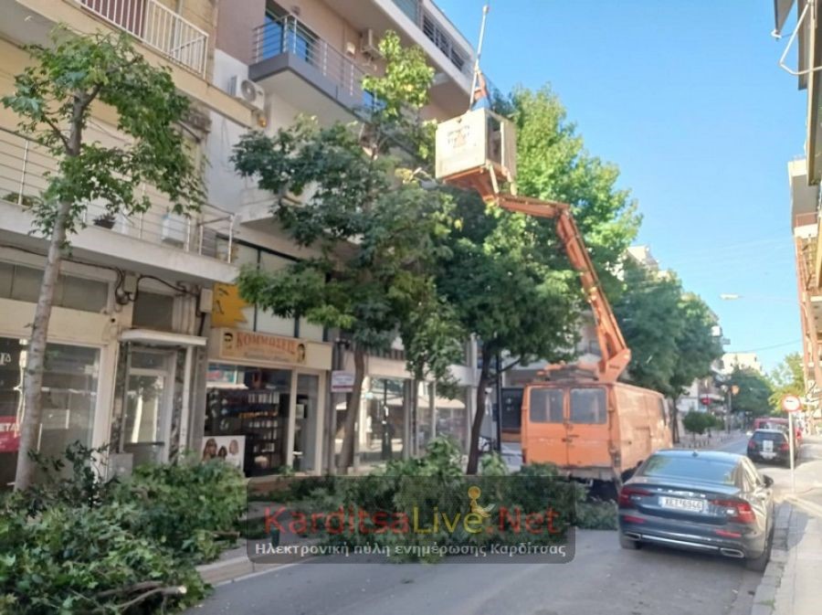 Κλάδεμα στα δένδρα της οδού Μπλατσούκα