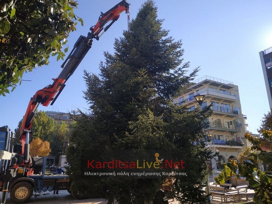 Καρδίτσα: Τοποθετήθηκε το Χριστουγεννιάτικο δέντρο
