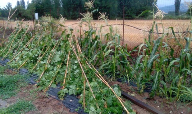 Ανεμοστρόβιλος έπληξε σπαρτά