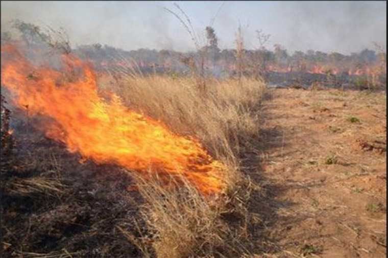 400 ευρώ πρόστιμο σε 91χρονο για φωτιά σε οικόπεδο