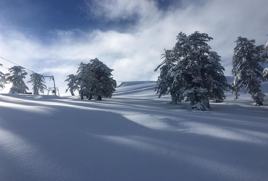 Βασιλίτσα Γρεβενών: Μαγευτικό χιονισμένο τοπίο