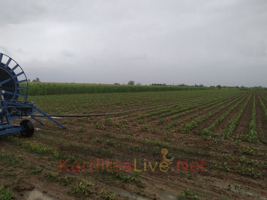 Πολλαπλά τα προβλήματα από την κακοκαιρία