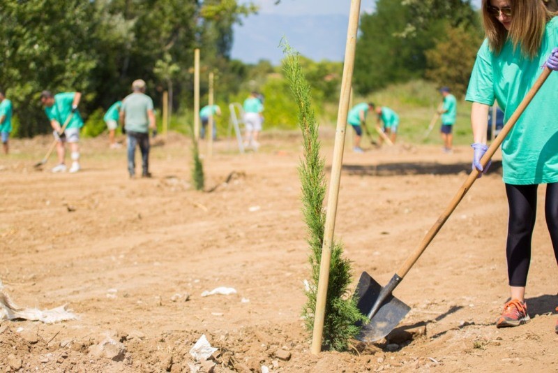Δενδροφύτευση με 100 δέντρα στον οικισμό των Καρυών