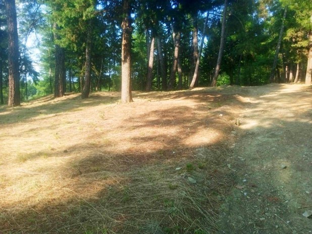 Καθαρισμοί στον Προφήτη Ηλία από την Πολιτική Προστασία