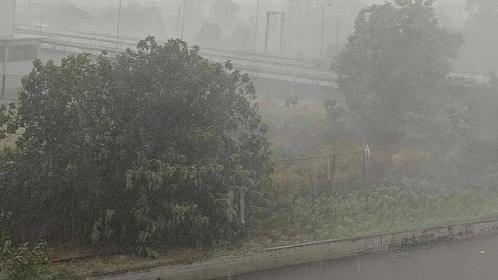 Ζημιές σε καλλιέργειες από την κακοκαιρία