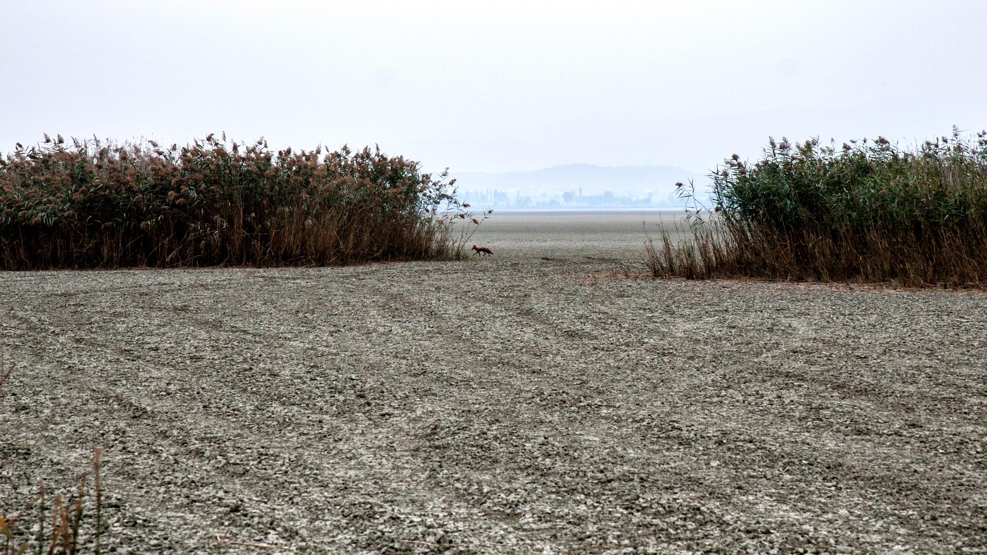 Η μισή Ελλάδα απειλείται με ερημοποίηση