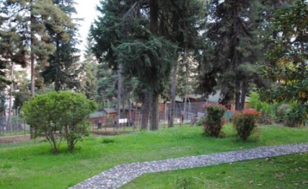 Στο "Αντώνης Τρίτσης" η ανάπλαση του Προφήτη Ηλία