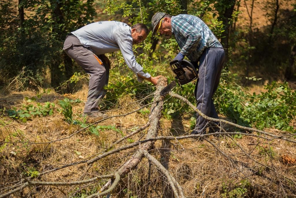 Εργασίες πυροπροστασίας στο άλσος του Προφήτη Ηλία